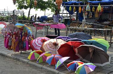 Snapshots of Cochin_DSC6126_H600